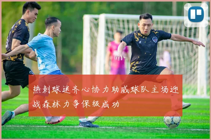 热刺球迷齐心协力助威球队主场迎战森林力争保级成功