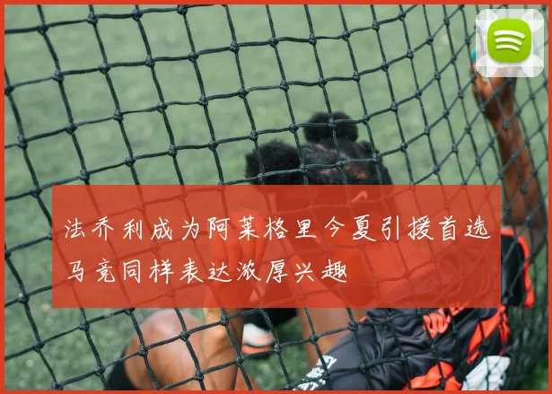 法乔利成为阿莱格里今夏引援首选马竞同样表达浓厚兴趣