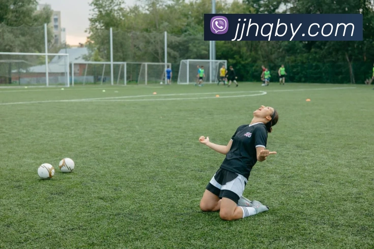 云开体育app官网下载最新版平台生态图